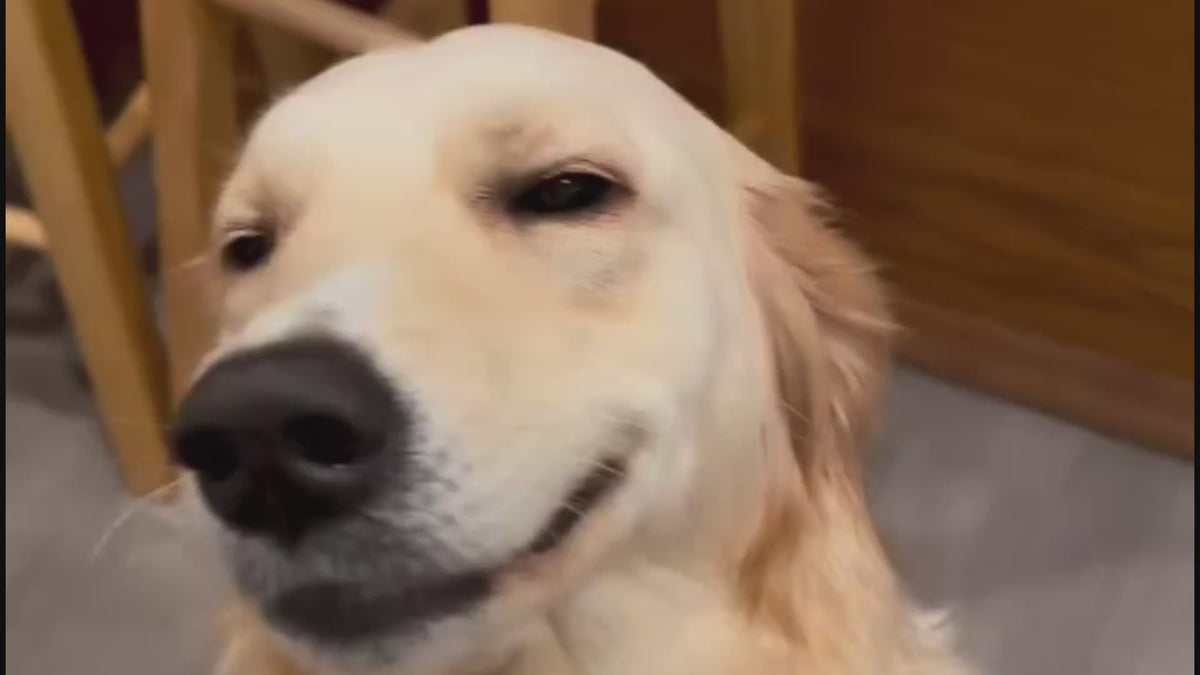 Vidéo